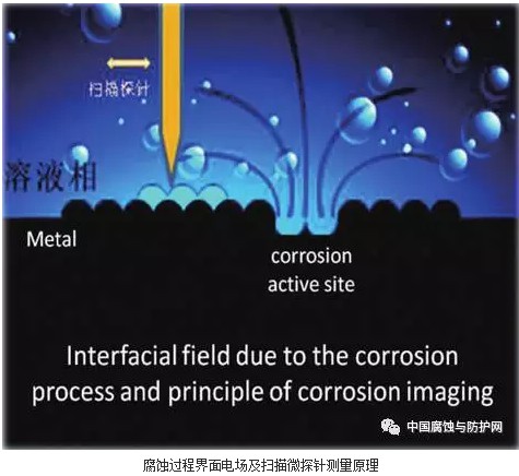 1519635589618624.jpg 465.JPG